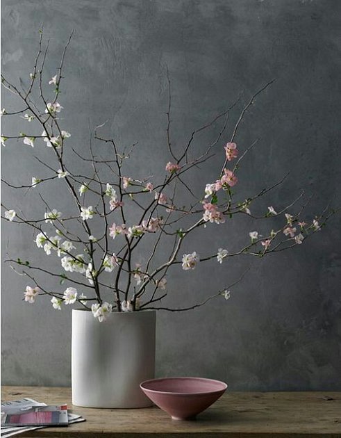 Cherry tree branch cut off on St Barbara’s day and ready to blossom on Christmas Eve